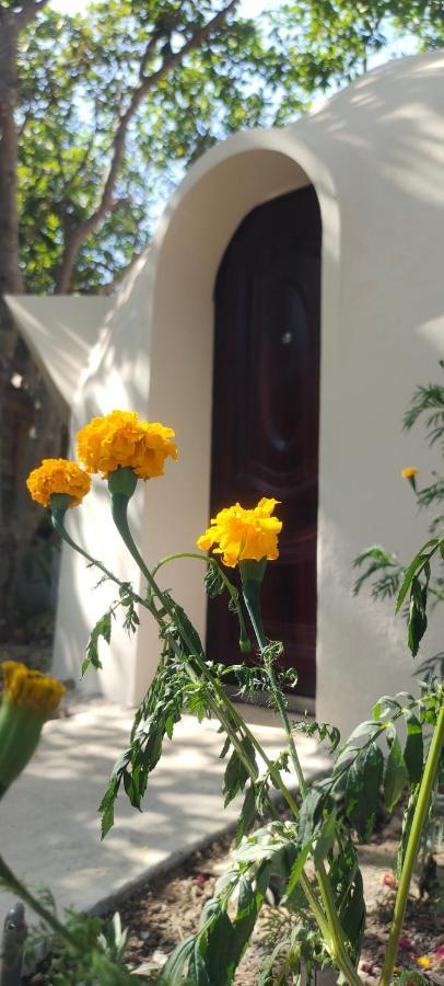 Auberge de jeunesse Done Right à Phumi Chrouy Svay Extérieur photo